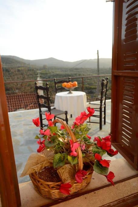 A Small Paradise In Mani With Local Hospitality Orovas المظهر الخارجي الصورة
