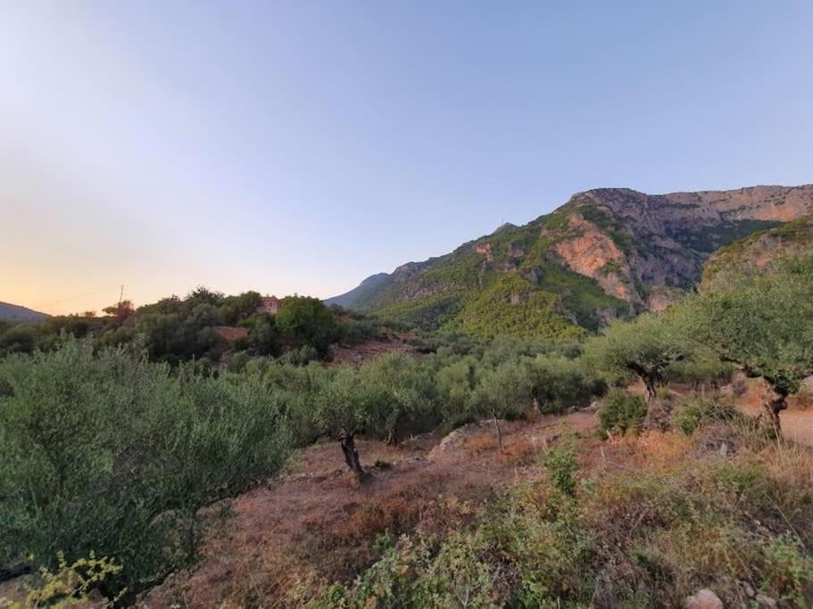A Small Paradise In Mani With Local Hospitality Orovas المظهر الخارجي الصورة